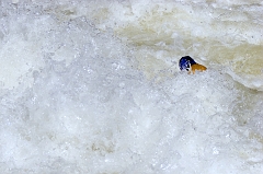 Kayaker 08 